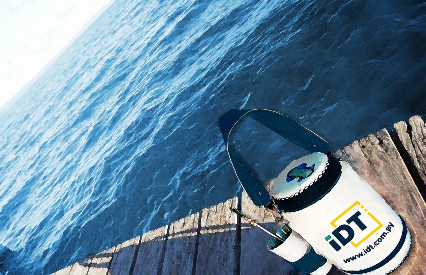 termos-en-idt-paraguay